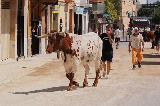 Feria del jamón y vaquillas en Chiva
