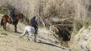 La Policía ha iniciado la búsqueda sobre las 9 de la mañana, apoyado con caballos y perros