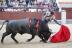 La corrida de Adolfo Martín en Madrid, en imágenes