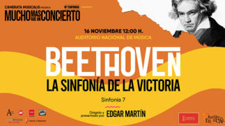 Entradas Sinfonía nº 7 de Beethoven - Camerata Musicalis