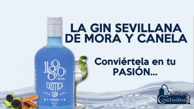 Pack Ginebra Exotica Especial 1890 Por 12 45 Oferta Con Descuento 45 Ofertas En Sevilla Y Andalucia Oferplan