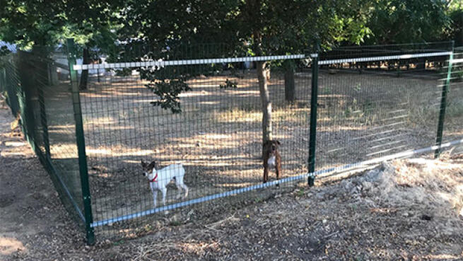 Guarderías para perros: ¿Cuánto dinero cuestan al día? 4 Moncloa resizer.php?imagen=https%3A%2F%2Foferplan.sevilla.abc.es%2F%2Fimages%2Fsized%2Fimages%2Fkennel2WEB Moncloa