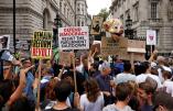 Muñecos con la cara de Boris Johnson y cientos de pancartas para defender la democracia: así están siendo las protestas del Reino Unido 
